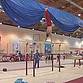 Сурские гимнасты вошли в состав сборной ПФО