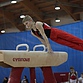 Пензенские гимнасты завоевали 6 медалей