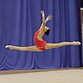 Результаты Чемпионата Общества «Динамо» по художественной гимнастике