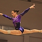 Чемпионаты области по спортивной и художественной гимнастике