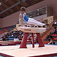 Сурские гимнасты успешно выступили на областных соревнованиях