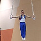Чемпионат Приволжского федерального округа  по спортивной гимнастике