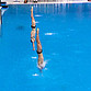Кубок России по прыжкам в воду