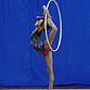 Чемпионат области по художественной гимнастике