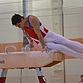 Пензенские гимнасты завоевали две медали на турнире А. Немова