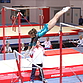 Всероссийские соревнования по спортивной гимнастике Приволжского федерального округа «Надежда России»
